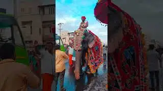 Karur festival..✨#festival #karur  #shorts #short #shortvideo #shortsvideo #keraladrums