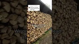 Harvested wood to get us through the winter in Alaska #alaskalife #woodcutting #woodshed