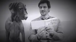 Fidget the Vizsla (Dog Training Using Recallers Games Is... a work in progress!)