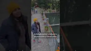 Norbulingka monastery & institute #monastery #dharamshala #travelvlog #dharamshala #minivlog #travel