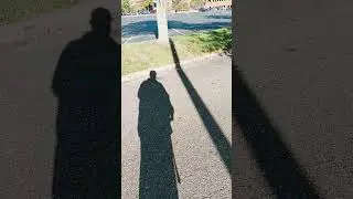 Friday #lunt #dailywalk
