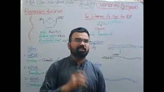 RNA | The Working Of DNA & RNA | Lec #11 | Biology Chapter 6 | 9th Class | New Book 2025