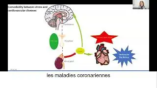 Vulnerability to depression and cardiac events