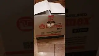 The cat plays with the box