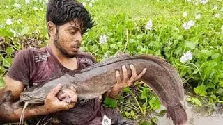 Amazing Hand Fishing Video. Amazing Boy Catching Big Catfish By Removes Water Hyacinth From River.