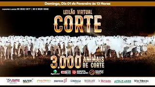 Leilão Virtual Corte