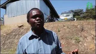 TATIZO LA MCHWA NA UDUMAVU WA MITI LAPATIWA UFUMBUZI