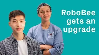 RoboBee's Graceful Landing Gear Inspired By Crane Flies