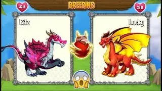 NEW BREEDING: Predator Dragon & New Flame Dragon | DRAGON CITY 😍