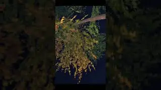 I got Bad Ending in Daadu #daadu #indiangame #horrorgameshorts #newgameplay #Robin #viralshort