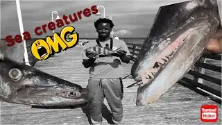 Live fishing 🎣 in deadly waters 😱join now
