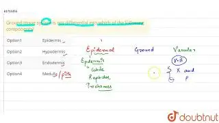 Ground tissue system is not differential into which of the following components?