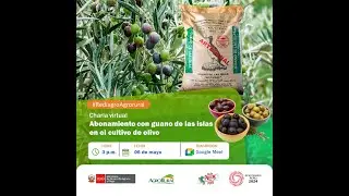 Abonamiento con guano de las islas el cultivo de Olivo 06.05.2024