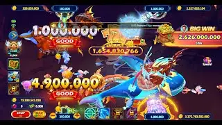 Live Stream BEARFISH Ind