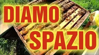 Apicoltura CD: Famiglie forti! Allarghiamo e mettiamo le reti per raccolta propoli!