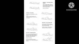 FRACTURE OF FEMUR BONE AND ITS REHABILITATION GENERAL IDEA #physiotherapy #rehabilitation 