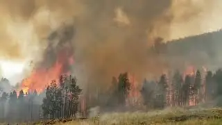 Spring Fire 2018