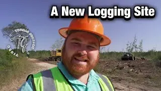 Visiting A New Logging Job With Tigercat Track Cutters & John Deere Skidders