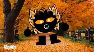 The Orange Shadow Band (Thanksgiving Special)