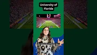 University of Florida #history #shorts #college #university #florida #gatornation