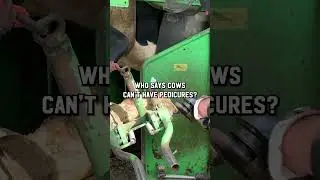 Why hoof care is so important 🙌