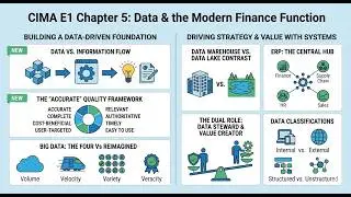 CIMA E1 Chapter 5 : Data and the Finance Function [ Deep Dive ]