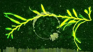 JordanKyser & Khateyus & KushBerg - Radioactive Party