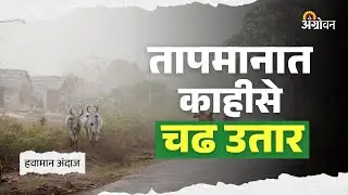 Weather Update: राज्यातील बहुतांशी भागात थंडी कायम राहणार | Agrowon