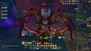 Ara Kara +8 Paladin Tank gameplay