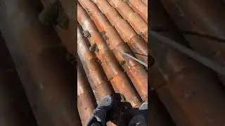 Nettoyage toiture en direct  Sans karcher et sans chlore