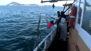 New Zealand Snapper Fishing - Northland