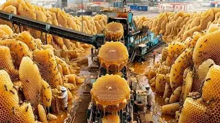 Inside a Honey Factory: How Millions of Bottles Are Made Every Day