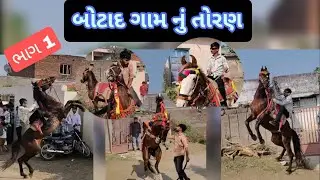 Kathiyawadi horse RAGHUBHAIVLOG botad ગામ નું તોરણ 