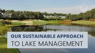 Sustainable Lake and Pond Management Services with SOLitude & BioSafe