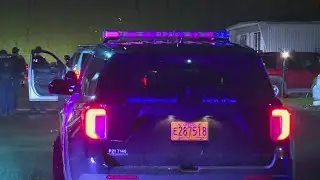 Armed robbery suspects caught in bushes, 2 arrested