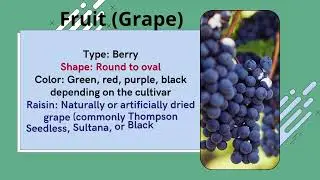 Botanical Quest #Raisin