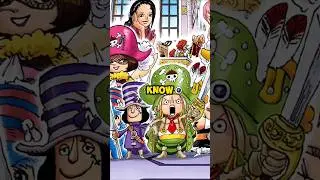 random one piece fact #onepiece #onepiecefact #luffy