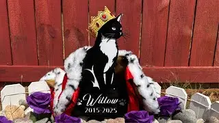 Willow&rsquo;s Memorial Service. 
