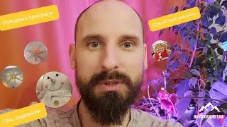 🫠Vlog. Довгий робочий день🤠. Новорічні✨️ прикраси в НЕТТО.Орхідея 🌺радує нас