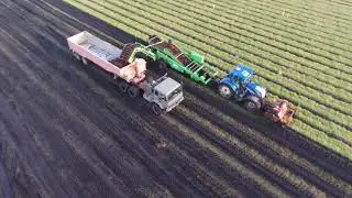 Carrot harvesting January 2018 ( Parrot Bebop 2 drone footage )