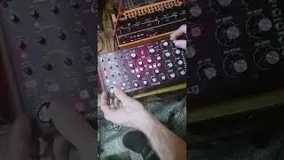 HOW TO Subharmonicon like I do