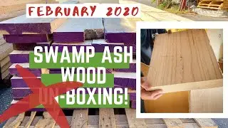 Swamp Ash Guitar Body Blank Wood 2022