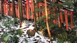 Walking towards sunrise at the Fushimi Inari Shrine - Kyoto, Japan