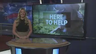 Human-Animal Support Coalition offering free pet services