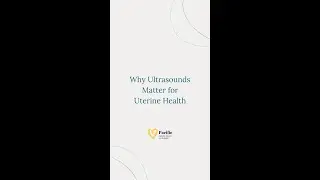 Why Ultrasounds Matter for Uterine Health