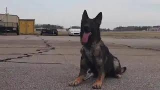 K9 Synthetic Drug Training