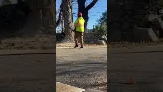 Our tree service team working this large silver Maple tree!