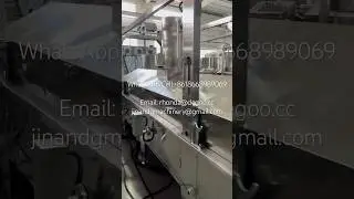 Snack pellet chips frying production line industrial continuous fryer machine #fryer #frying