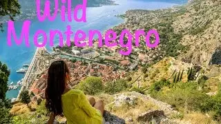 Montenegro Travel Highlights