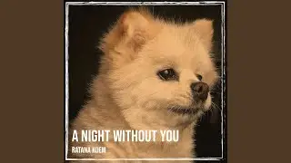 A Night Without You